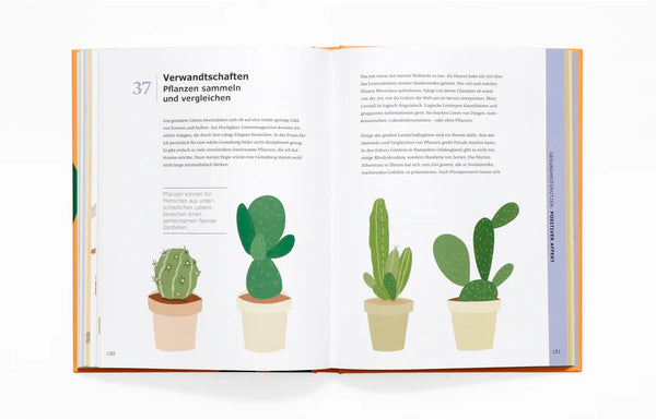 Mit Pflanzen besser leben | 50 ganzheitliche Ideen