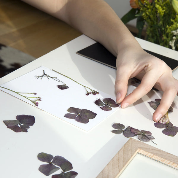 Huckleberry PRESSED FLOWER FRAME Rahmen für selbst gepresste Blumen