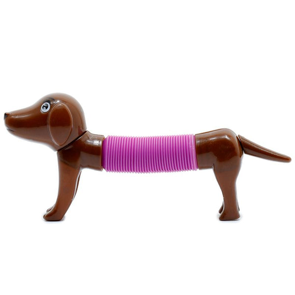 Dog Spring Fidget | Stresspielzeug Hund
