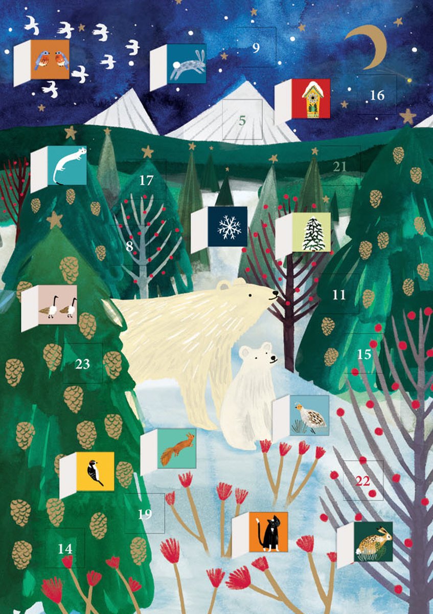 Eisbären & Leitstern - kleiner Adventkalender Klappkarte
